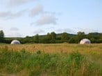Dome setting Dome setting